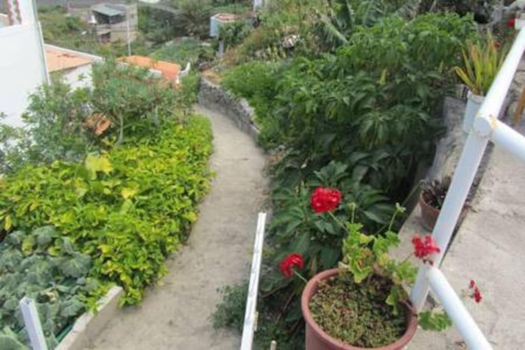 House Rural,Biosphere Reserve World.Taganana.Tfe. 圣克鲁斯-德特内里费 外观 照片